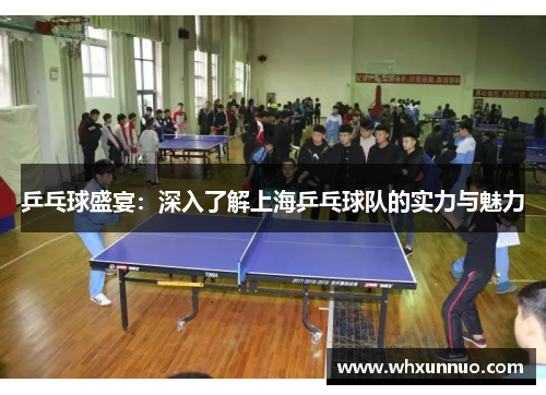 乒乓球盛宴：深入了解上海乒乓球队的实力与魅力